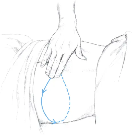 Ill 14 My fingers always point to the right side of the patient I start at - фото 16