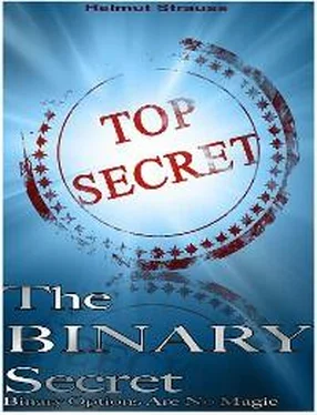 Helmut Strauss The Binary Secret обложка книги