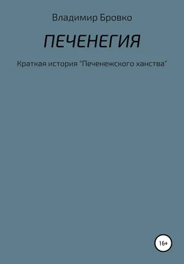 Владимир Бровко Печенегия обложка книги