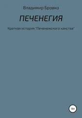 Владимир Бровко - Печенегия