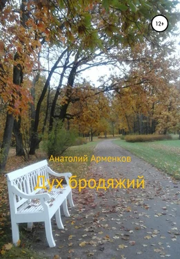 Анатолий Арменков Дух бродяжий обложка книги