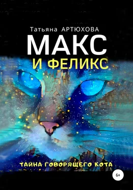 Татьяна АРТЮХОВА Макс и Феликс. Тайна говорящего кота обложка книги