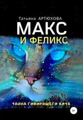 Татьяна АРТЮХОВА - Макс и Феликс. Тайна говорящего кота