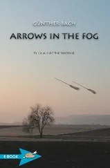 Günther Bach - Arrows In The Fog