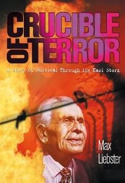 Max Liebster Crucible of Terror обложка книги