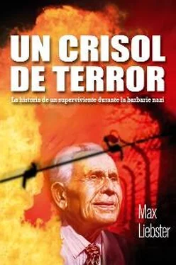Max Liebster Un crisol de terror обложка книги