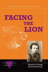 Simone Arnold-Liebster - Facing the Lion