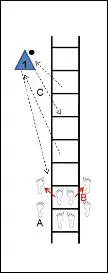 Course 1 The players jump through the coordination ladder as follows - фото 12