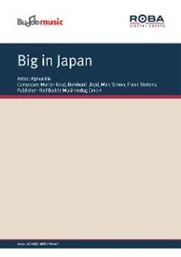 Frank Mertens Big in Japan обложка книги