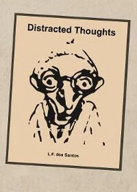 L.F. dos Santos Distracted Thoughts обложка книги