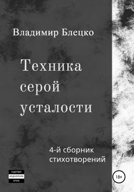 Владимир Блецко Техника серой усталости обложка книги