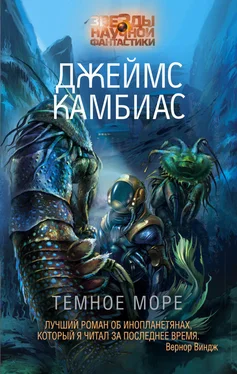 Джеймс Камбиас Темное море обложка книги
