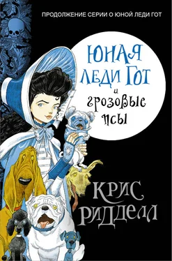 Крис Ридделл Юная леди Гот и грозовые псы обложка книги