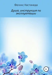 Феликс Кастанеда - Душа, инструкция по эксплуатации