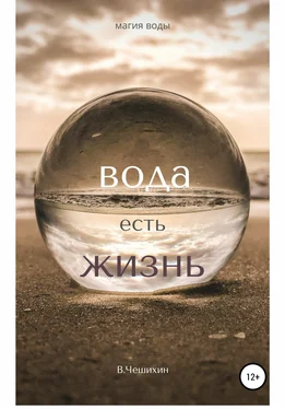 Василий Чешихин Вода есть жизнь обложка книги