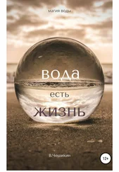 Василий Чешихин - Вода есть жизнь