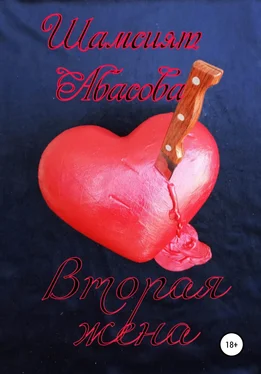 Шамсият Абасова Вторая жена обложка книги