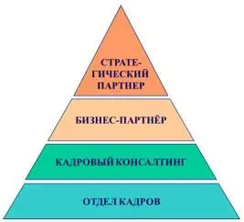 Стратегический партнёр Структурное положение службы управления персоналом как - фото 6
