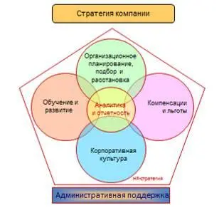 Бизнеспартнёр Структурное положение службы управления персоналом как - фото 8