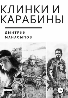 Дмитрий Манасыпов Клинки и карабины обложка книги