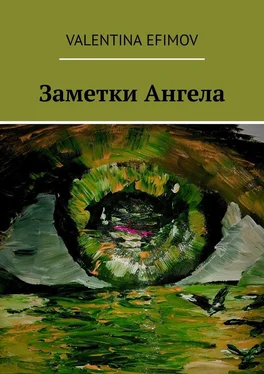 Valentina Efimov Заметки Ангела обложка книги