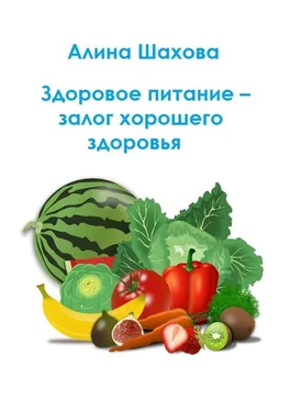 Алина Шахова Здоровое питание – залог хорошего здоровья обложка книги