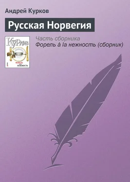 Андрей Курков Русская Норвегия обложка книги