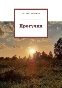 Николай Атаманов Прогулки. Главное в деталях обложка книги