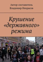 Владимир Некрасов - Крушение «державного» режима