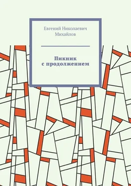 Евгений Михайлов Пикник с продолжением обложка книги