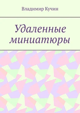 Владимир Кучин Удаленные миниатюры обложка книги