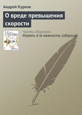 Андрей Курков О вреде превышения скорости обложка книги