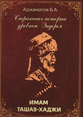 Багаутдин Аджаматов Имам Ташав-хаджи обложка книги