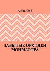 Alain Akoб - Забытые орхидеи Монмартра