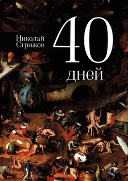 Николай Стрижов 40 дней обложка книги