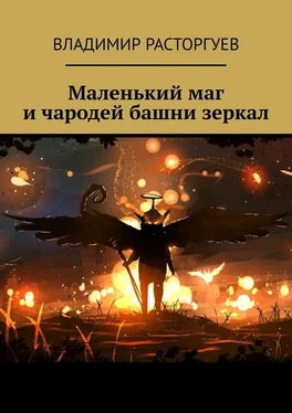 Владимир Расторгуев Маленький маг и чародей башни зеркал обложка книги