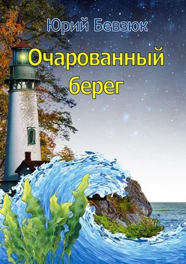 Юрий Бевзюк Очарованный берег обложка книги