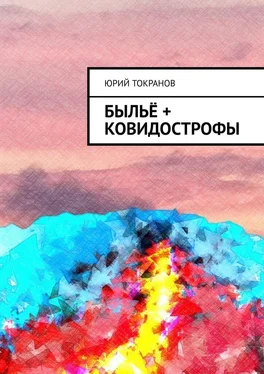 Юрий Токранов Быльё + Ковидострофы обложка книги