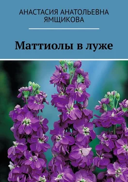 Анастасия Ямщикова Маттиолы в луже обложка книги