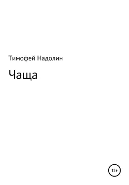 Тимофей Надолин ЧАЩА обложка книги