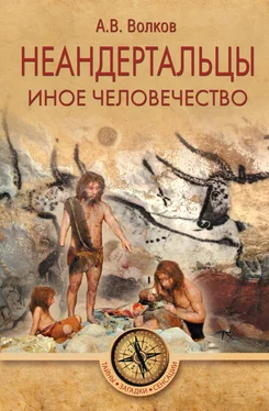 Александр Волков Неандертальцы. Иное человечество обложка книги