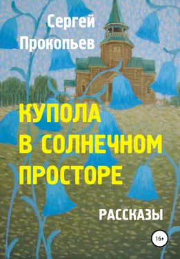 Сергей Прокопьев Купола в солнечном просторе обложка книги