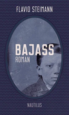 Flavio Steimann Bajass обложка книги