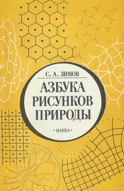 Сергей Зимов Азбука рисунков природы обложка книги