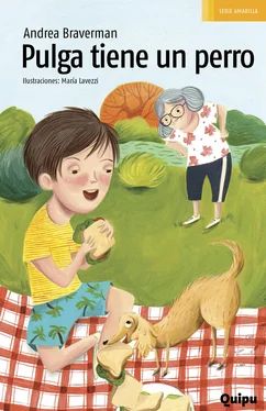 Andrea Braverman Pulga tiene un perro обложка книги