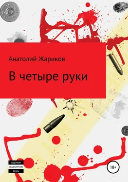 Анатолий Жариков В четыре руки обложка книги