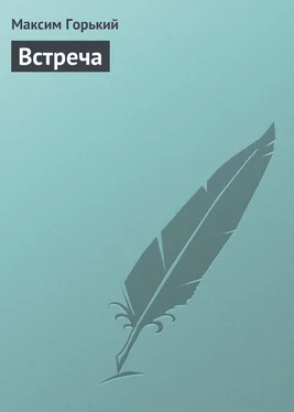 Максим Горький Встреча обложка книги