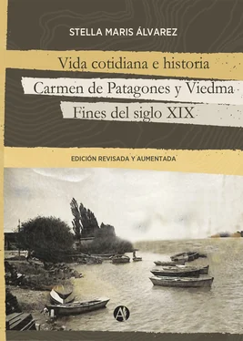 Stella Maris Álvarez Vida cotidiana e historia, Carmen de Patagones y Viedma обложка книги