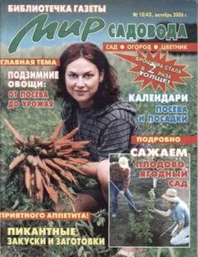 Т. Октябрьская Как правильно выращивать овощи подзимнего посева обложка книги