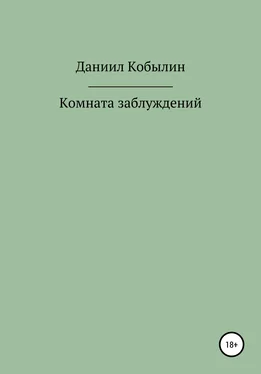 Даниил Кобылин Комната заблуждений обложка книги